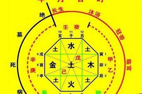 宸喜命理|生辰八字算命、五行喜用神查詢（免費測算）